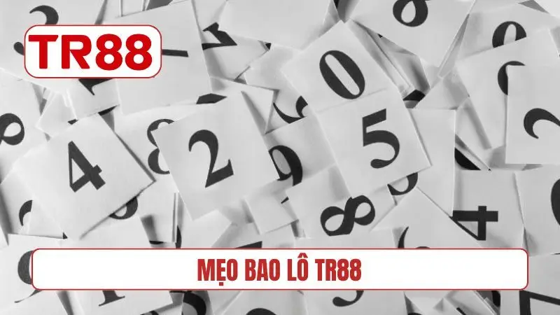Mẹo bao lô TR88