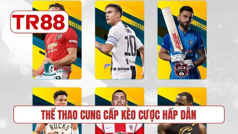 Thể thao cung cấp kèo cược hấp dẫn