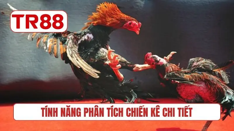 Tính năng phân tích chiến kê chi tiết